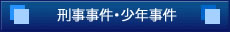 刑事事件・少年事件